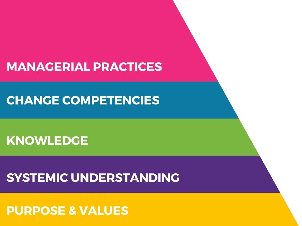 New Angles's leadership for sustainability model